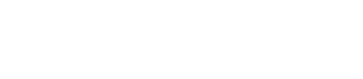 Development and Leadership Coaching